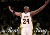 世界短跑接力赛全国联赛下一季详细赛程与参赛办法发布，短跑接力赛视频