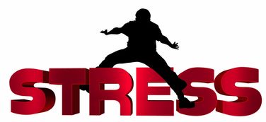 KAIYUN 中国大陆-NBA球员心理压力识别及干预技术研究，nba球员性格问题