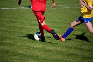 开云·体育官网-NBA球员训练计划优化设计，nba运动员训练计划